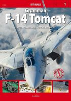 Grumman F-14 TOMCAT - Image 1