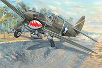 P-40F War Hawk - Image 1